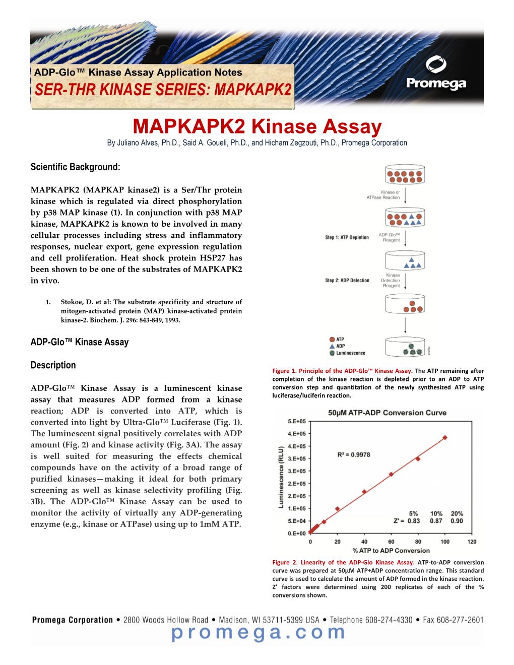 MAPKAPK2 Kinase Assay by Juliano Alves, Ph.D., Said A