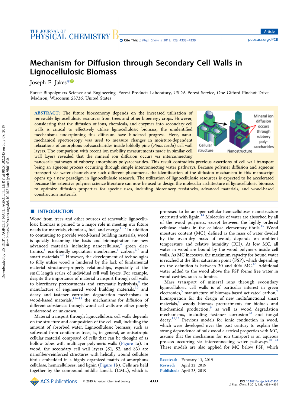 Mechanism for Diffusion Through Secondary Cell Walls in Lignocellulosic Biomass