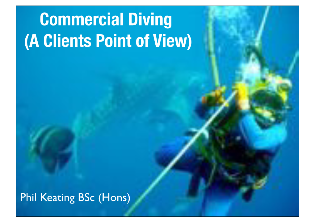 Commercial Diving (A Clients Point of View)