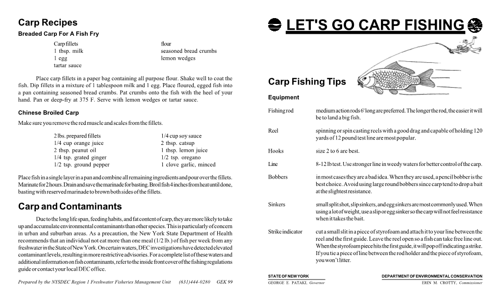Carp Fishing Tips, Recipes and Contaminants