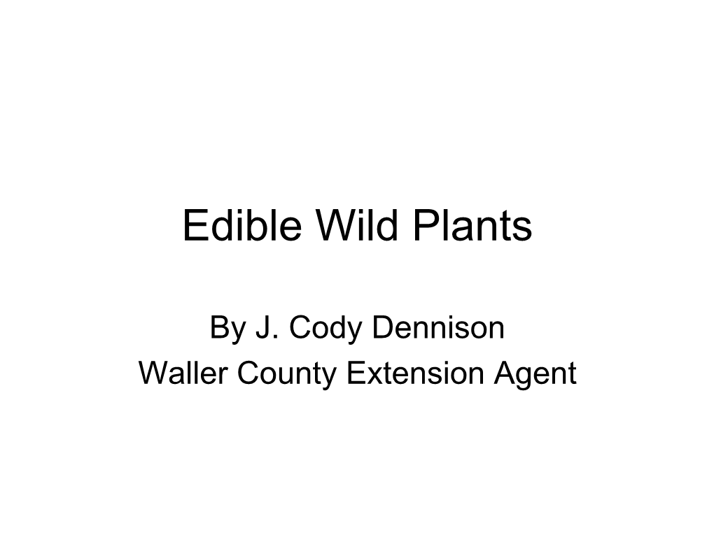 Edible Wild Plants