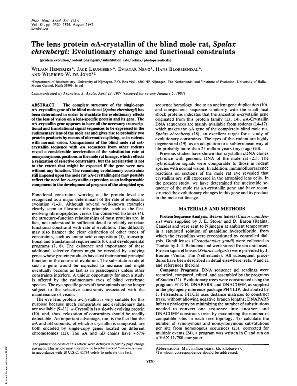 The Lens Protein Aa-Crystallin of the Blind Mole Rat, Spalax