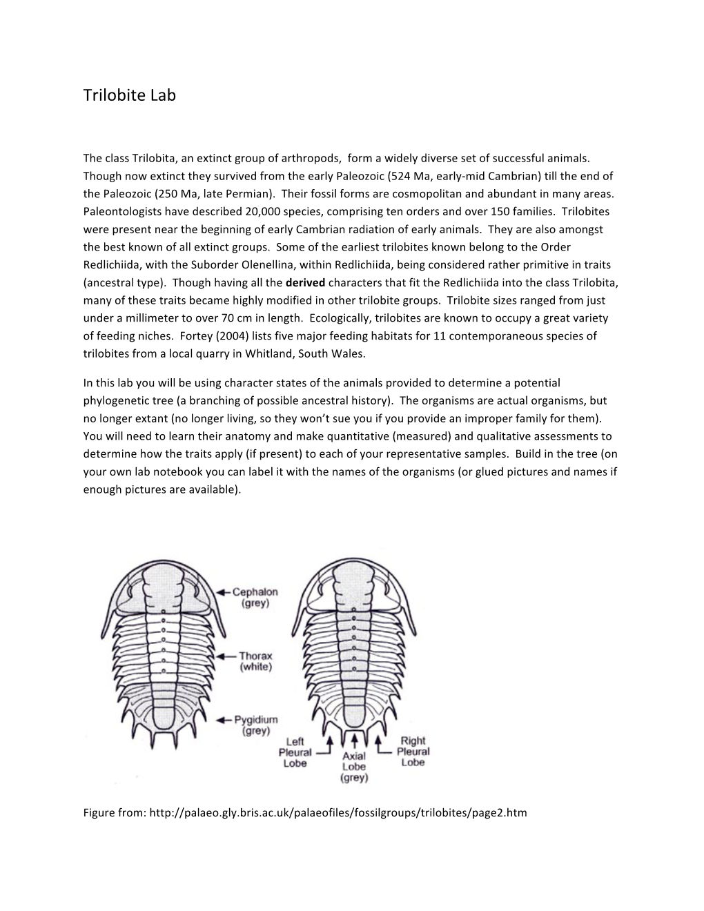 Trilobite Lab