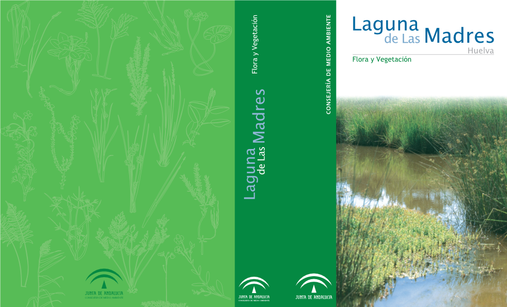 Huelva Flora Y Vegetación Flora Y Vegetación Madres De Las Laguna Edición: 1A Edición Consejería De Medio Ambiente