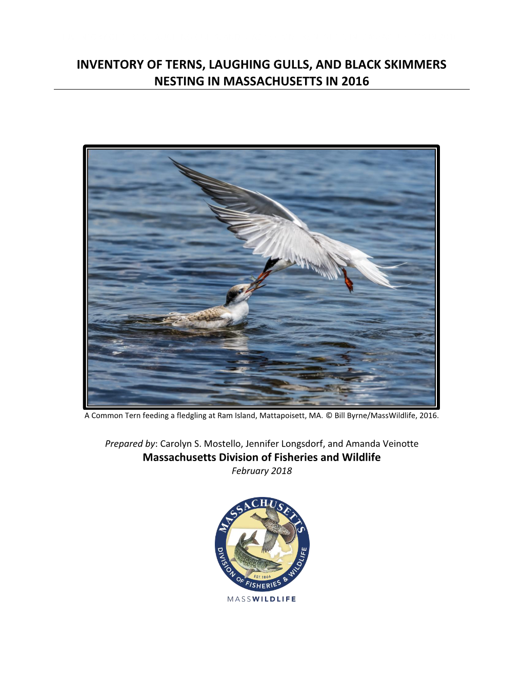 Inventory of Terns, Laughing Gulls, and Black Skimmers Nesting in Massachusetts in 2016