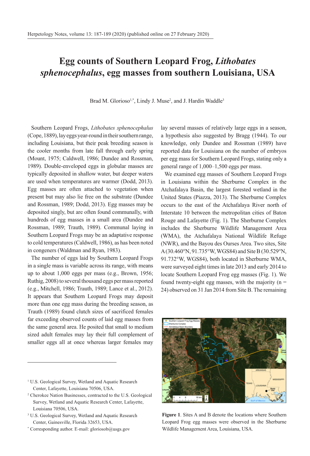 Egg Counts of Southern Leopard Frog, Lithobates Sphenocephalus, Egg Masses from Southern Louisiana, USA