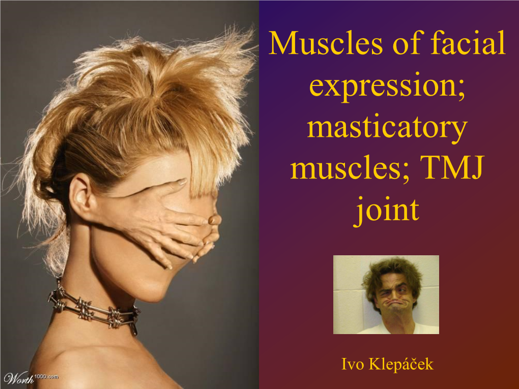 Muscles of Facial Expression; Masticatory Muscles; TMJ Joint