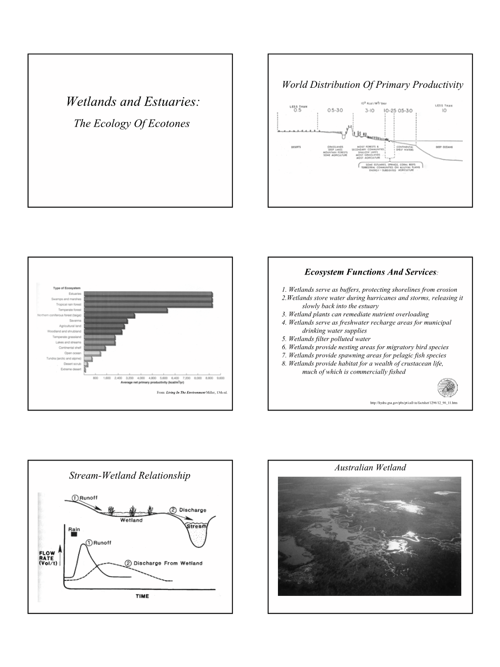 Wetlands and Estuaries: the Ecology of Ecotones