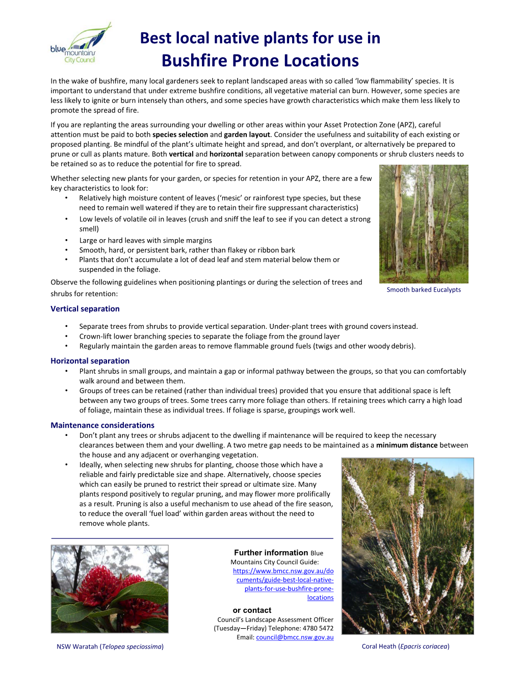 Best Local Native Plants for Use in Bushfire Prone Locations