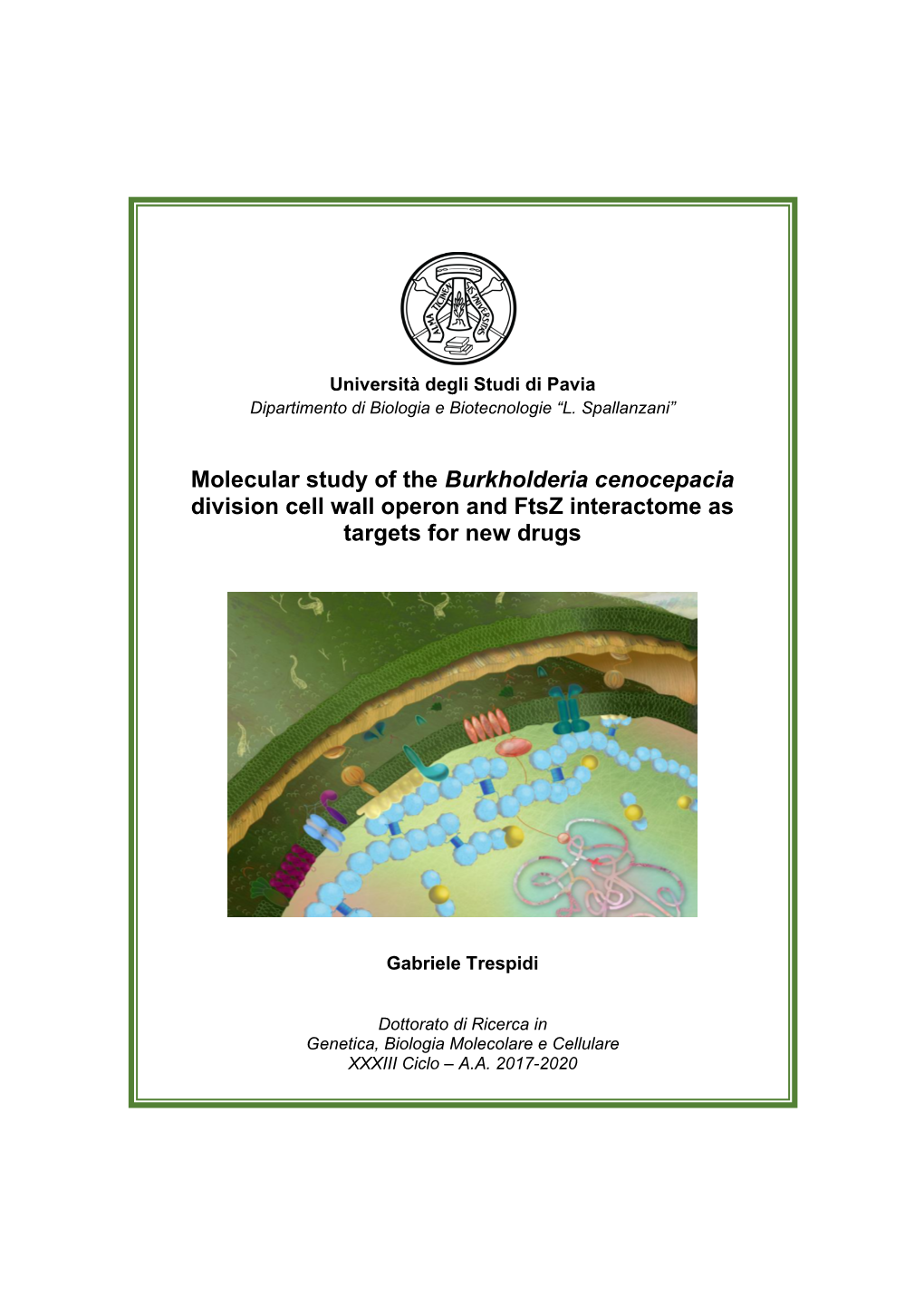 Molecular Study of the Burkholderia Cenocepacia Division Cell Wall Operon and Ftsz Interactome As Targets for New Drugs