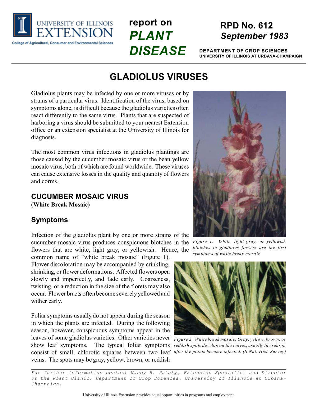 Gladiolus Viruses, RPD No