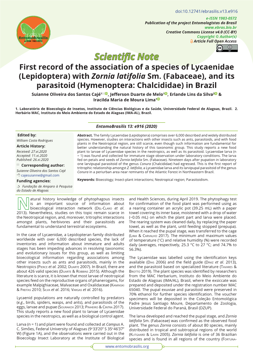 First Record of the Association of a Species of Lycaenidae (Lepidoptera) with Zornia Latifolia Sm