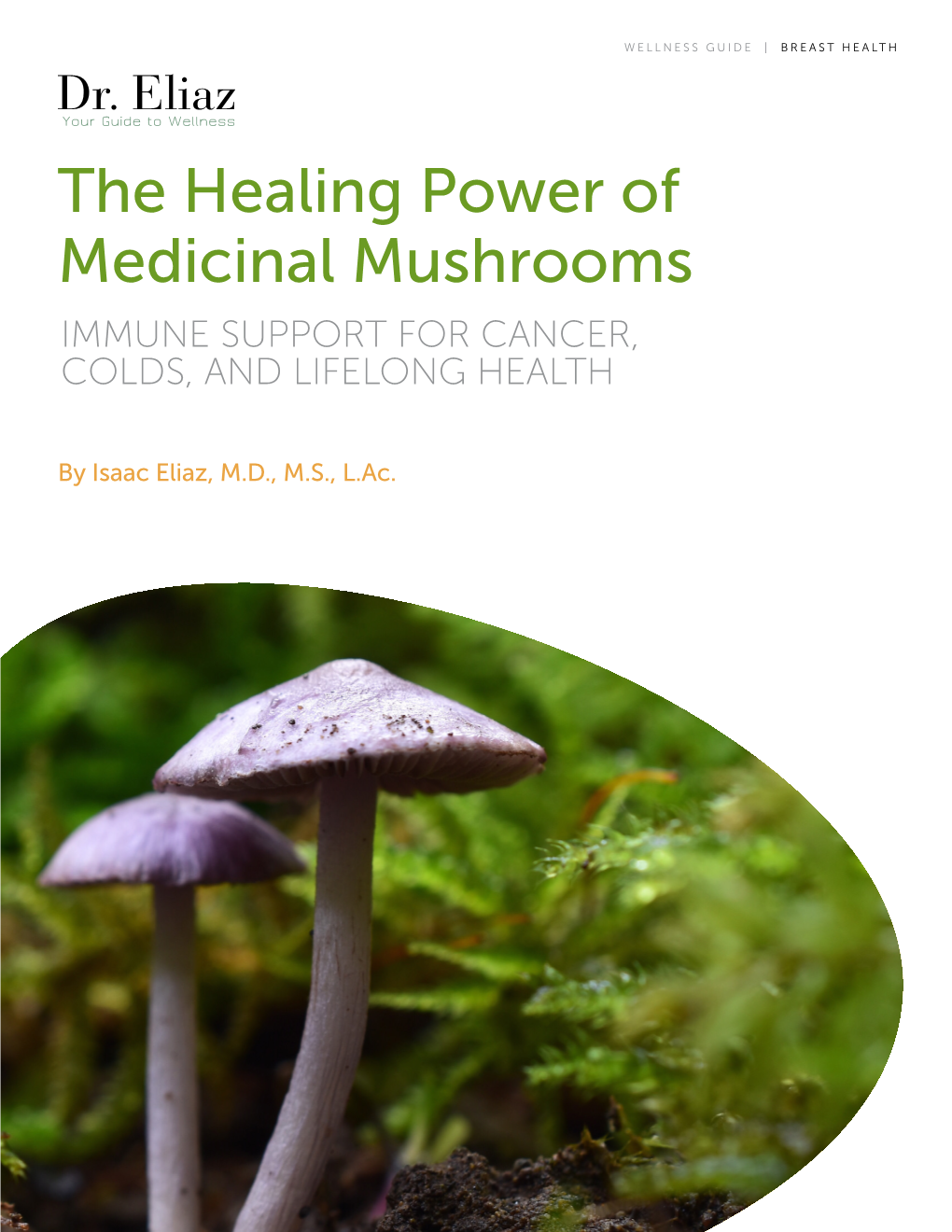 The Healing Power of Medicinal Mushrooms IMMUNE SUPPORT for CANCER, COLDS, and LIFELONG HEALTH