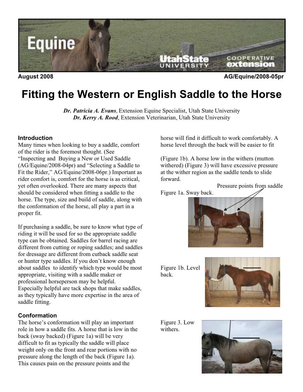 Fitting the Western Or English Saddle to the Horse