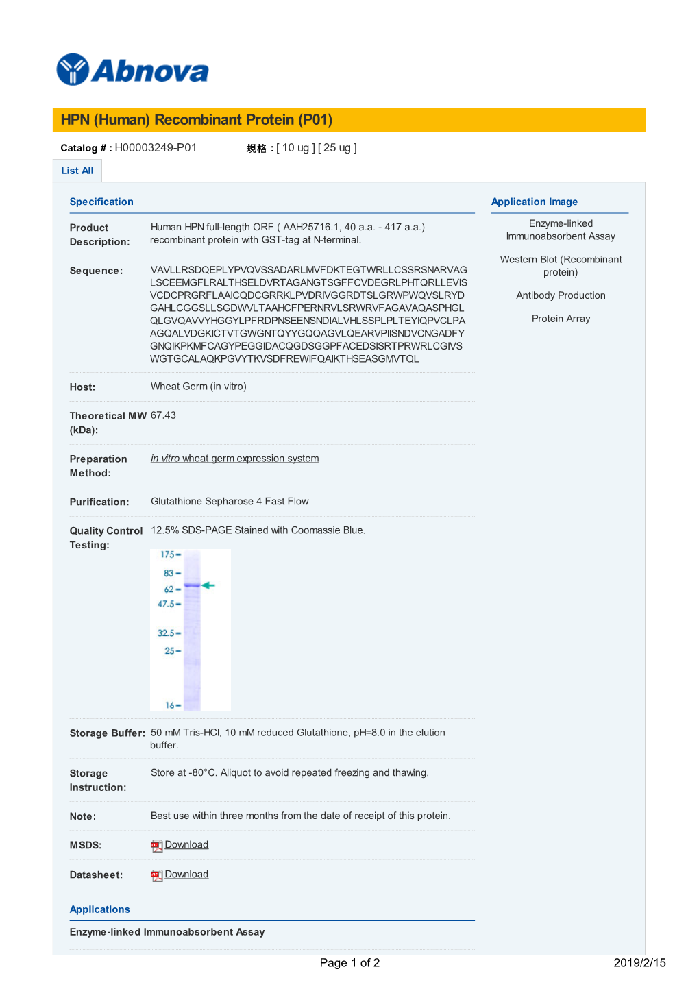 HPN (Human) Recombinant Protein (P01)