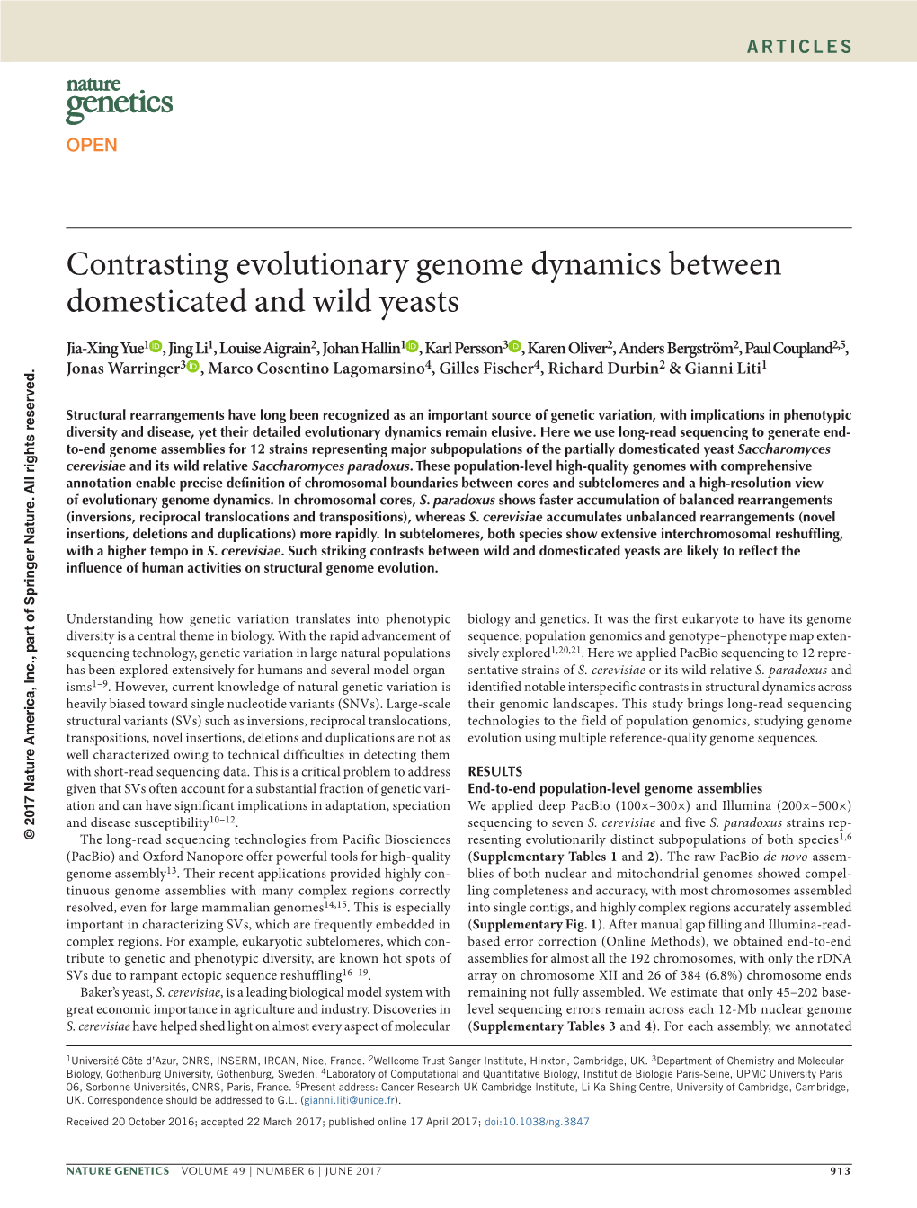 Contrasting Evolutionary Genome Dynamics Between Domesticated and Wild Yeasts