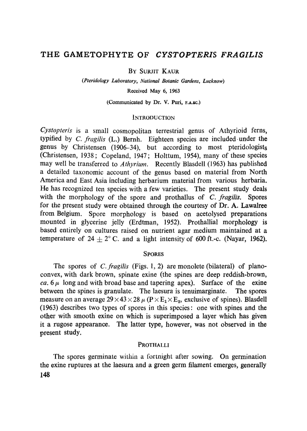 The Gametophyte of <Emphasis Type=