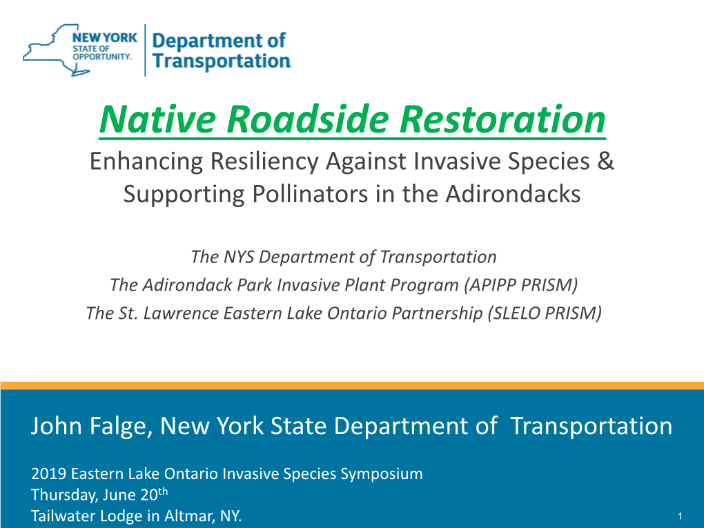 Native Roadside Restoration Enhancing Resiliency Against Invasive Species & Supporting Pollinators in the Adirondacks