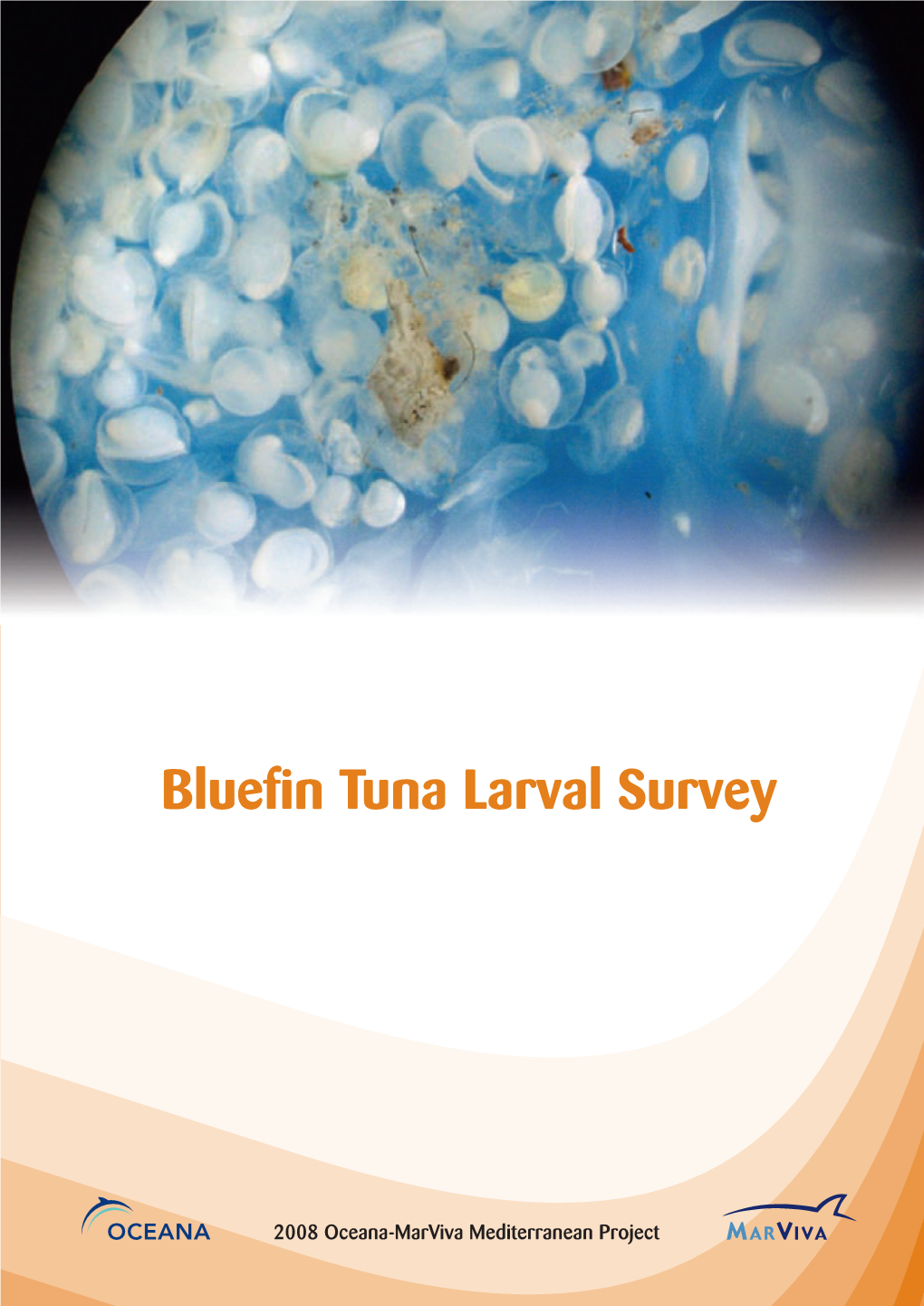 Bluefin Tuna Larval Survey 2008 Oceana-Marviva Mediterranean Project · 2008 Oceana-Marviva