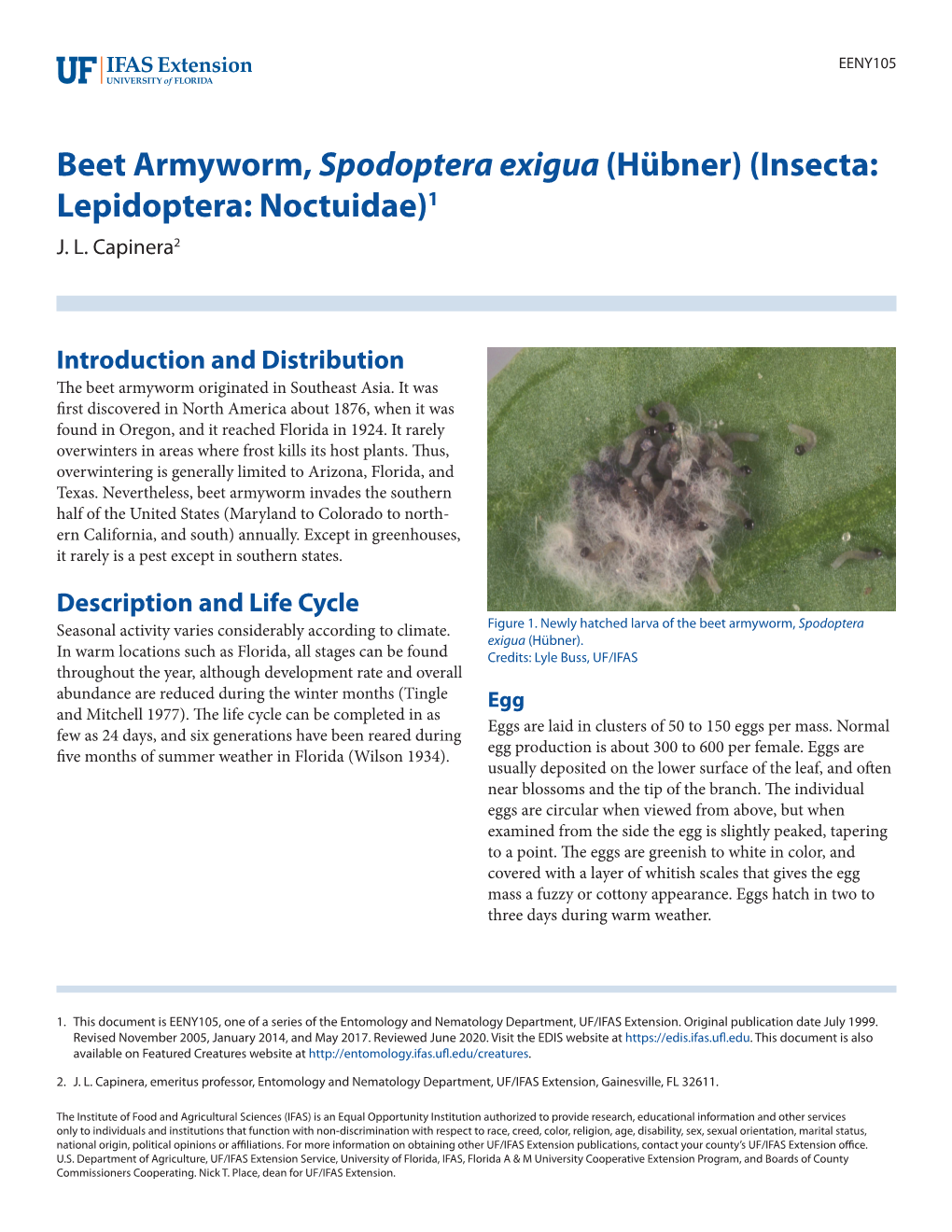 Beet Armyworm, Spodoptera Exigua (Hübner) (Insecta: Lepidoptera: Noctuidae)1 J