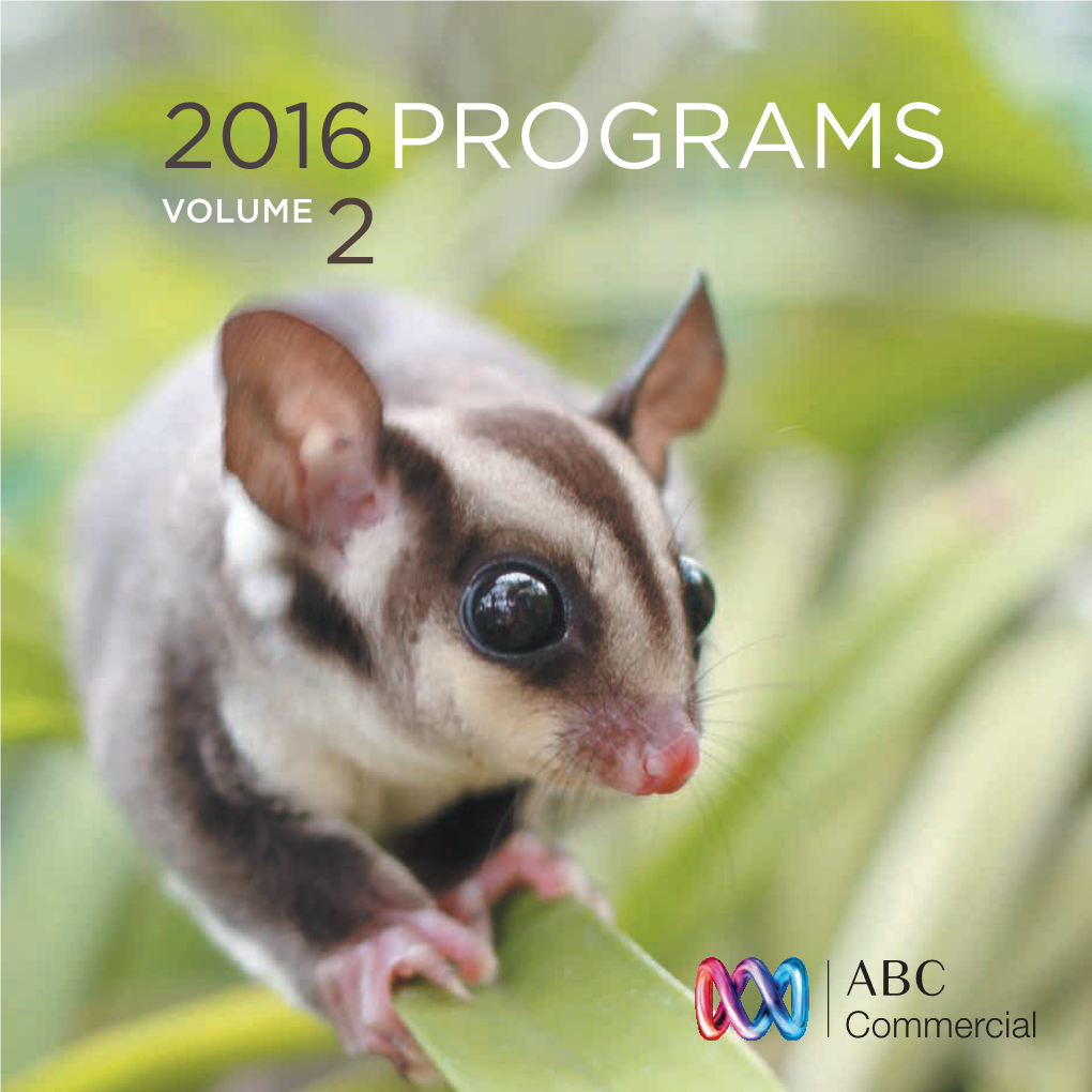 2016Programs 2