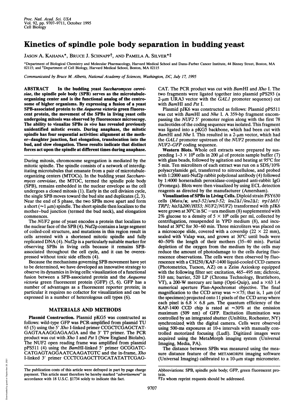 Kinetics of Spindle Pole Body Separation in Budding Yeast JASON A