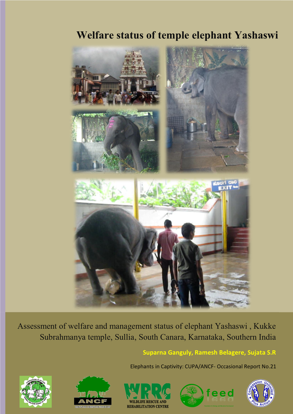 Welfare Status of Temple Elephant Yashaswi