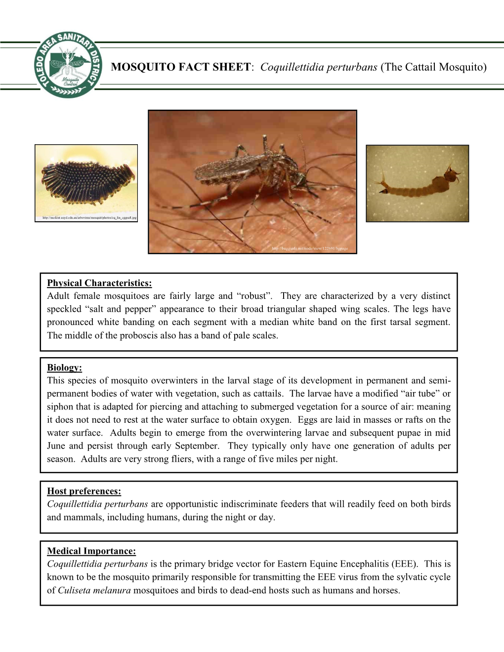 MOSQUITO FACT SHEET: Coquillettidia Perturbans (The Cattail Mosquito)