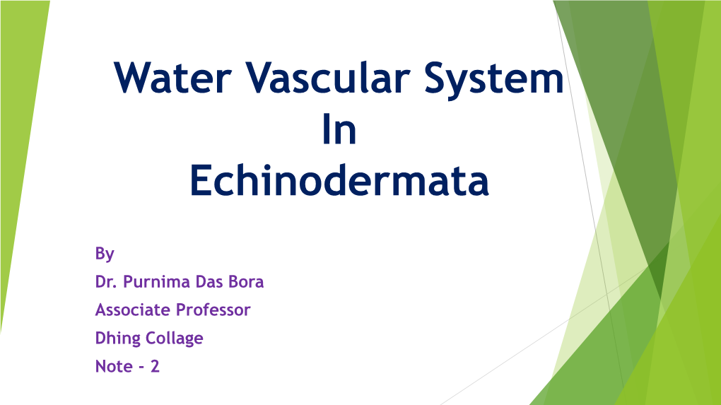 Water Vascular System in Echinodermata