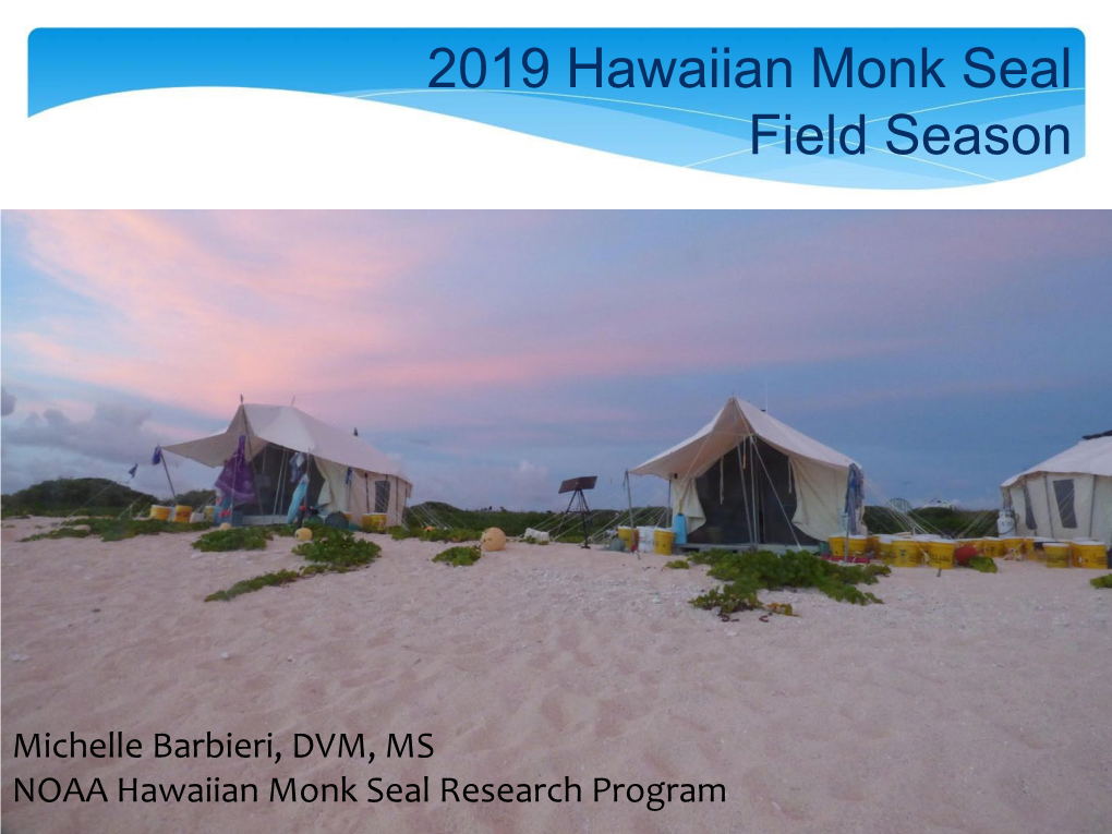 2019 Hawaiian Monk Seal Field Season Report