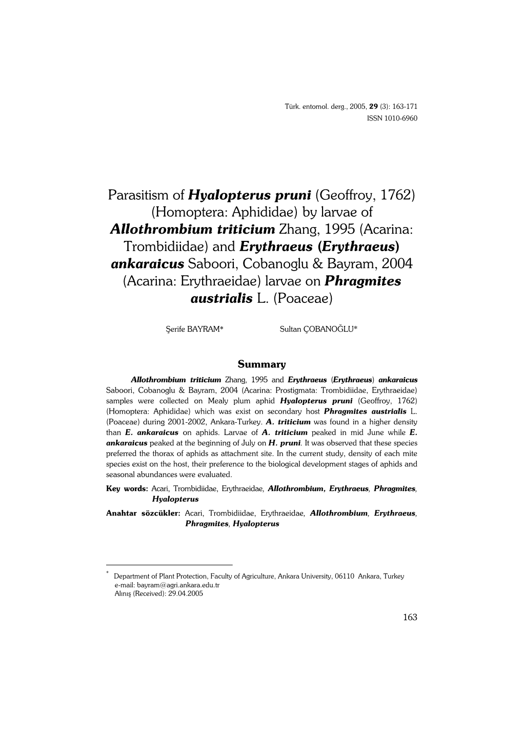 Parasitism of Hyalopterus Pruni