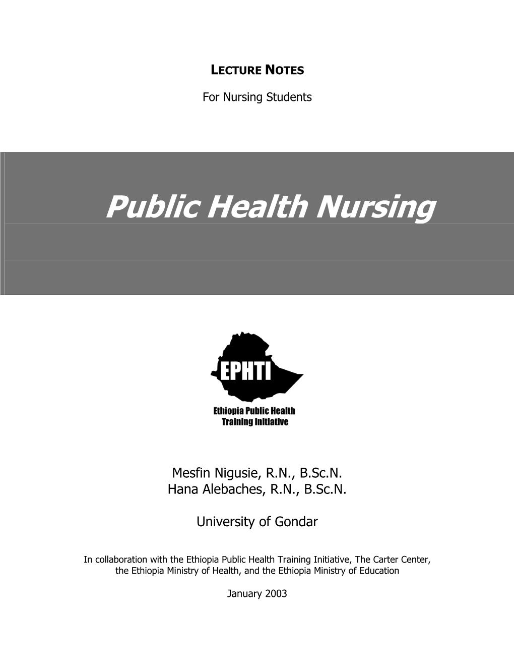 Public Health Nursing