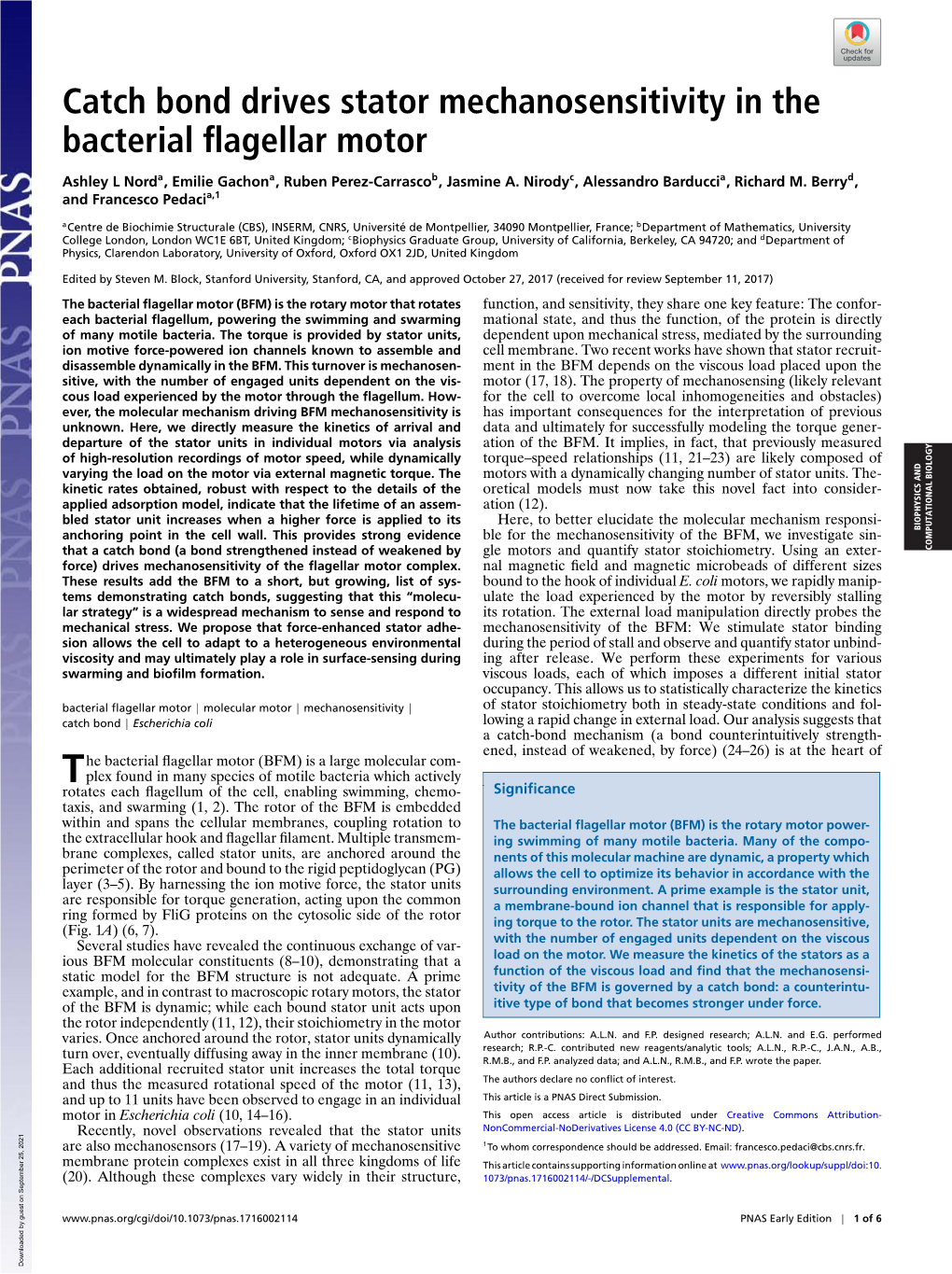 Catch Bond Drives Stator Mechanosensitivity in The