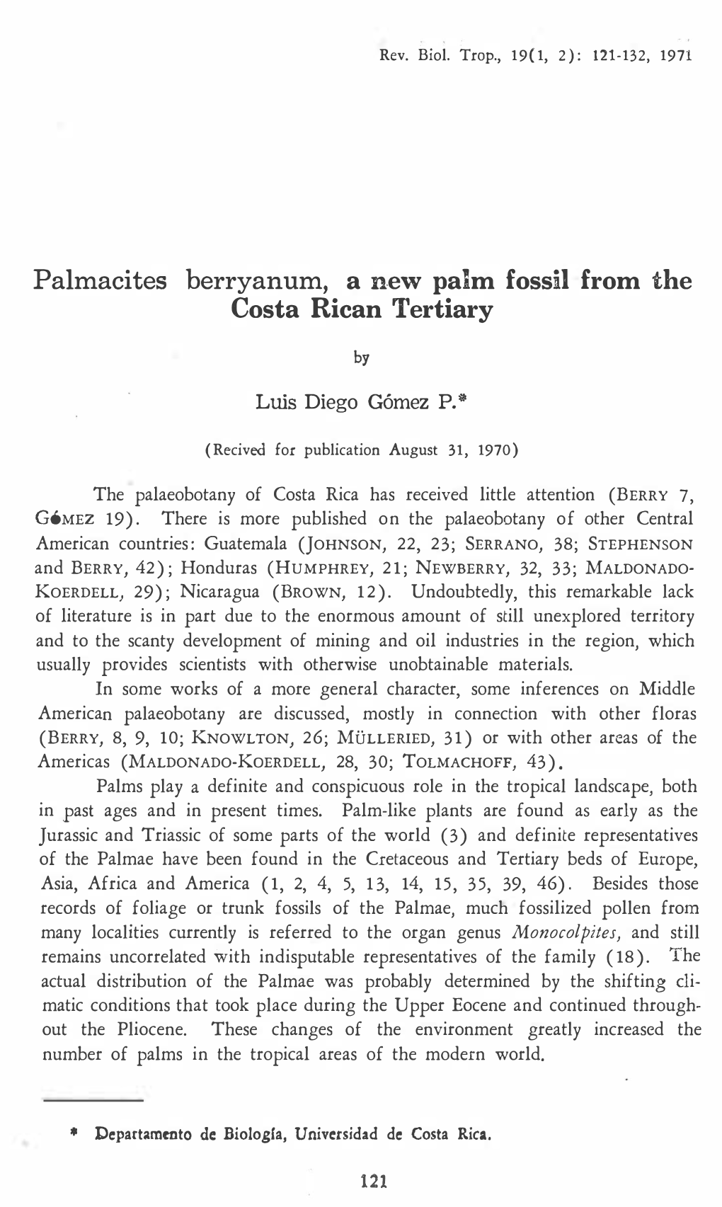 Palmacites Berryanum, a New Palm Fossil from the Costa Rican Tertiary