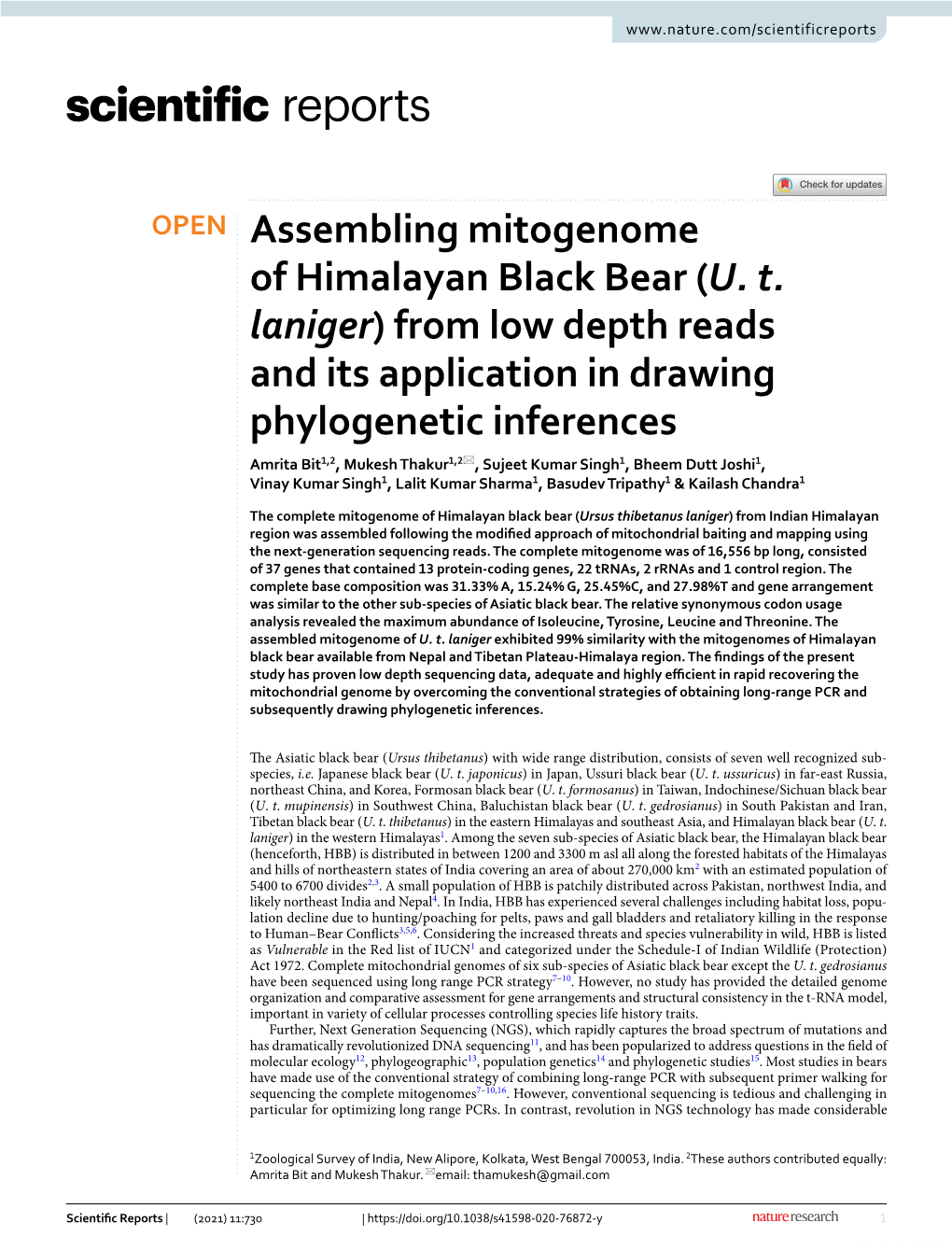 Assembling Mitogenome of Himalayan Black Bear (U. T. Laniger