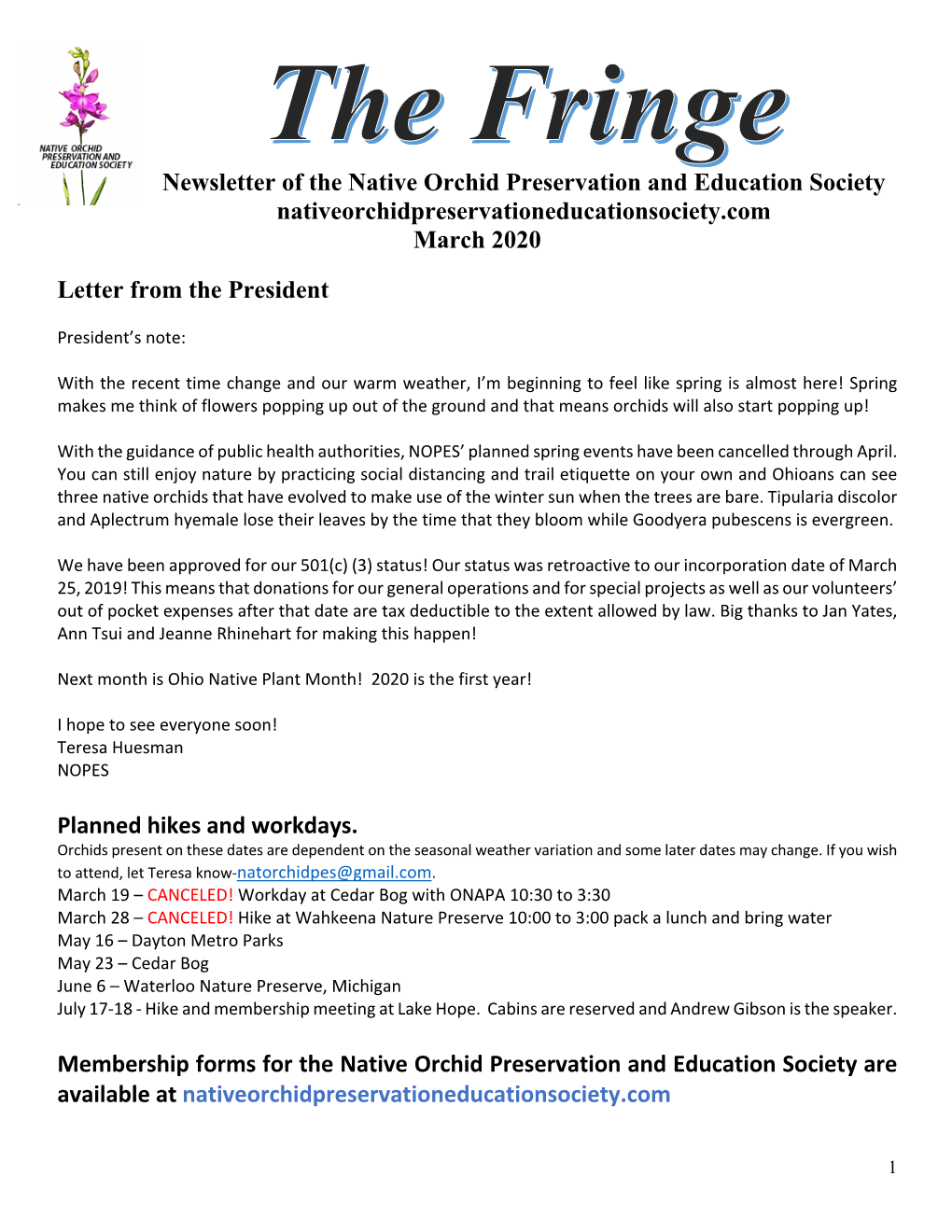 NOPES Newsletter 3 20Small