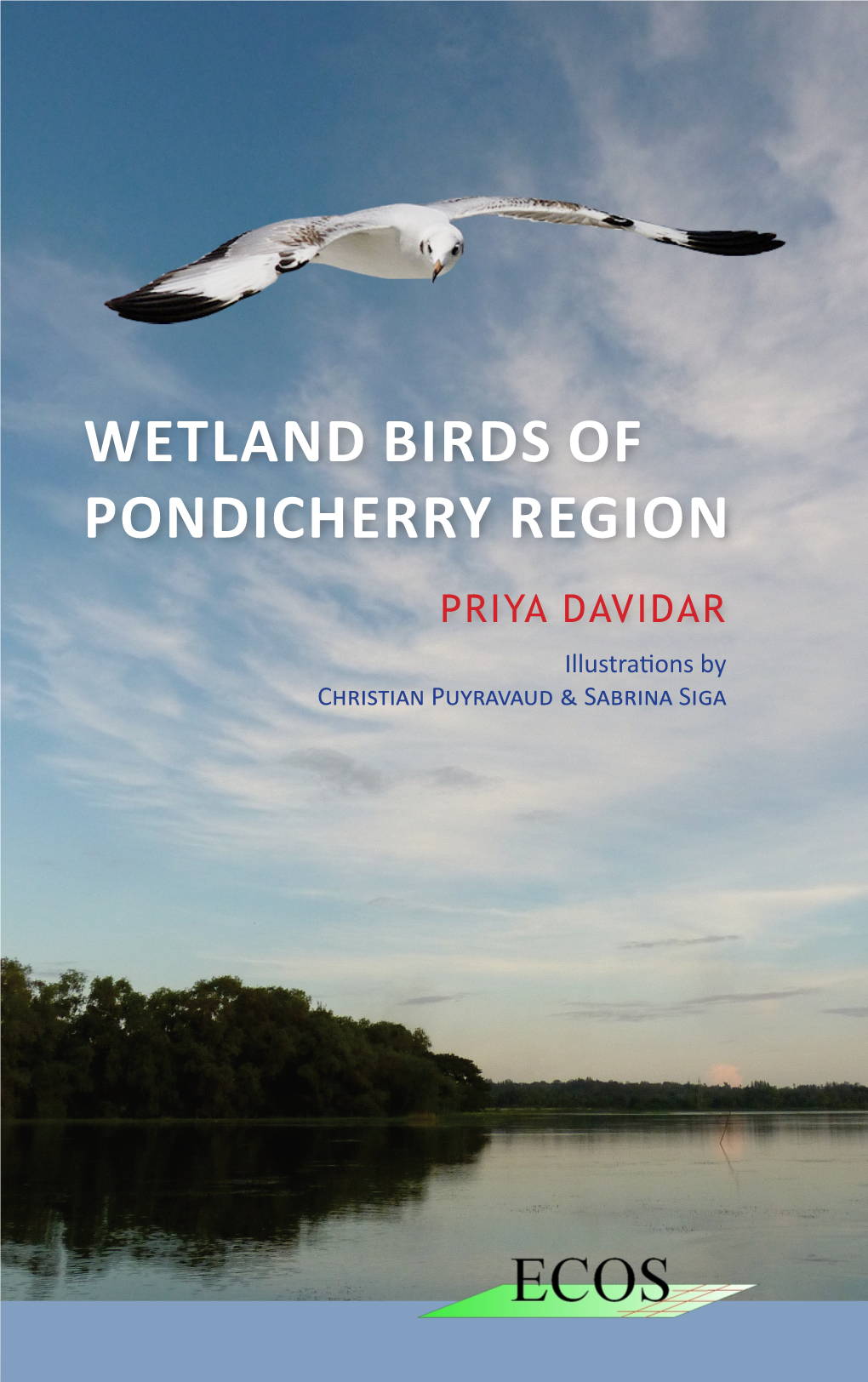 Wetland Birds of Pondicherry Region