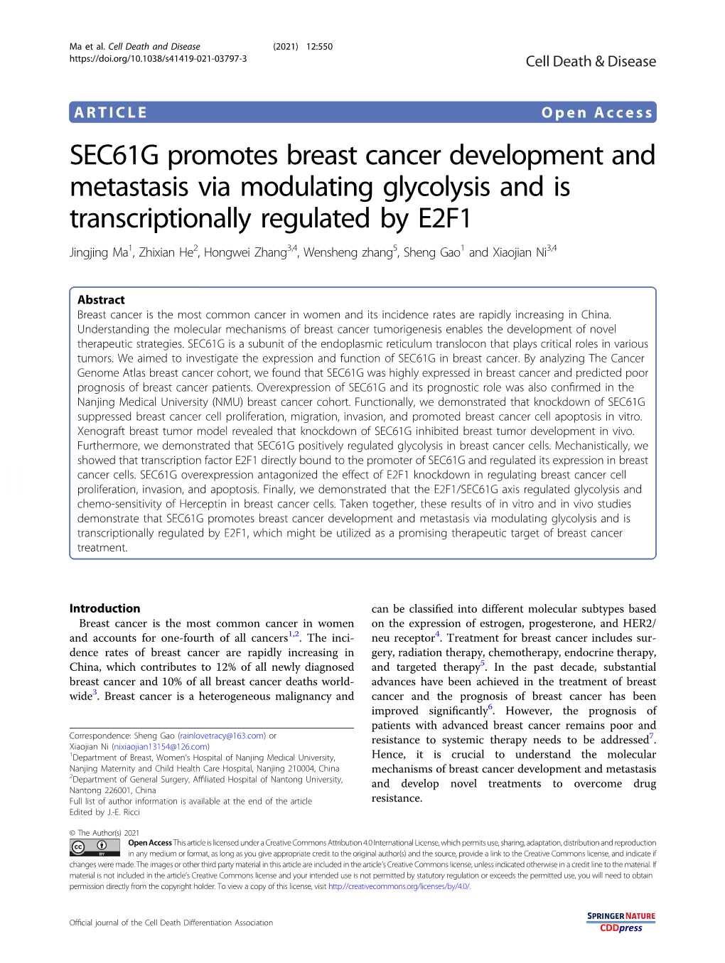 SEC61G Promotes Breast Cancer Development and Metastasis Via