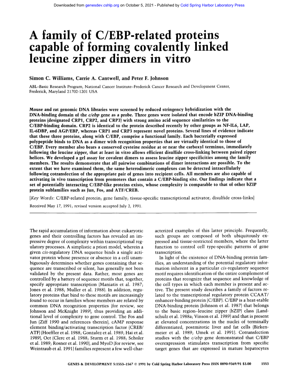 A Family of C/EBP-Related Proteins Capable of Forming Covalently Hnked Leucine Zipper Dimers in Vitro