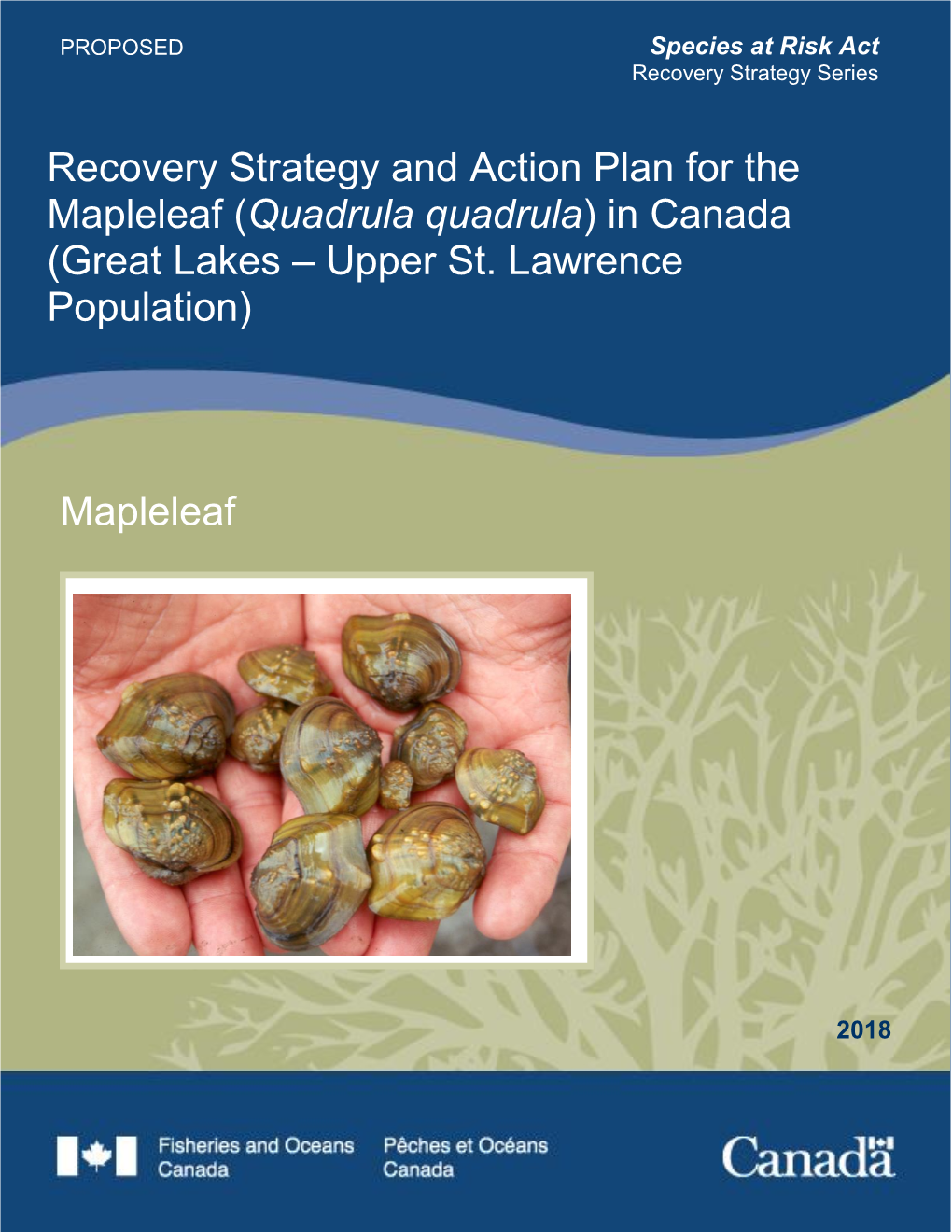 Recovery Strategy and Action Plan for the Mapleleaf (Quadrula Quadrula) in Canada (Great Lakes – Upper St. Lawrence Population)