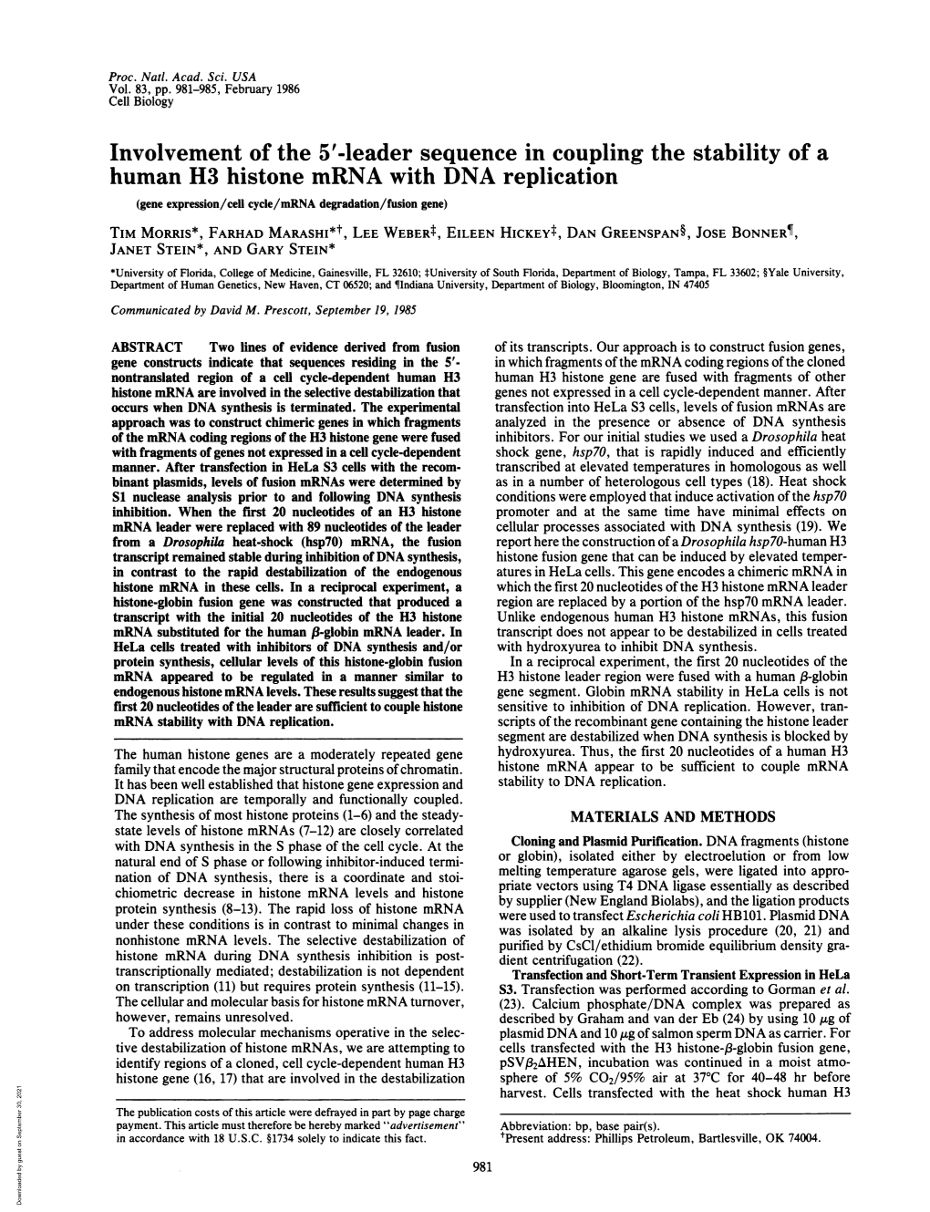 Leader Sequence in Coupling the Stability of A