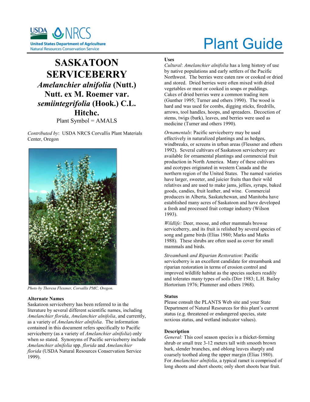 Plant Guide for Saskatoon Serviceberry (COLEOPTERA: Curculionidae)