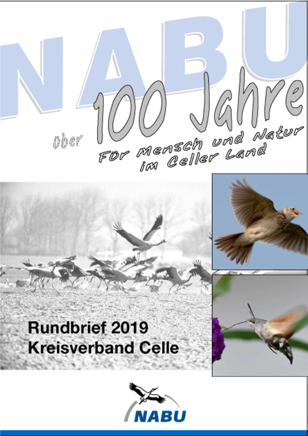 Rundbrief 2019 Des NABU Kreisverbandes Celle Als