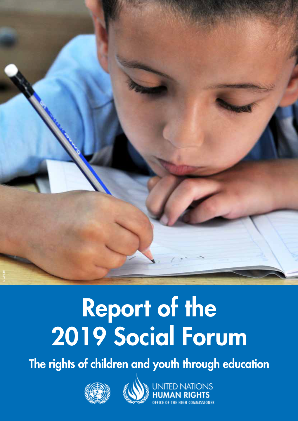 Report of the 2019 Social Forum*