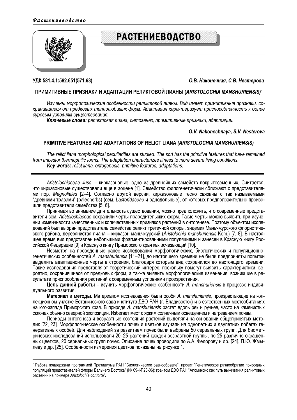 (ARISTOLOCHIA MANSHURIENSIS)* O.V. Nakonechnaya, S.V. Nesterova PRIMITIVE FEATURES and ADAPTATIONS of RELICT LIANA (ARISTOLOCHIA