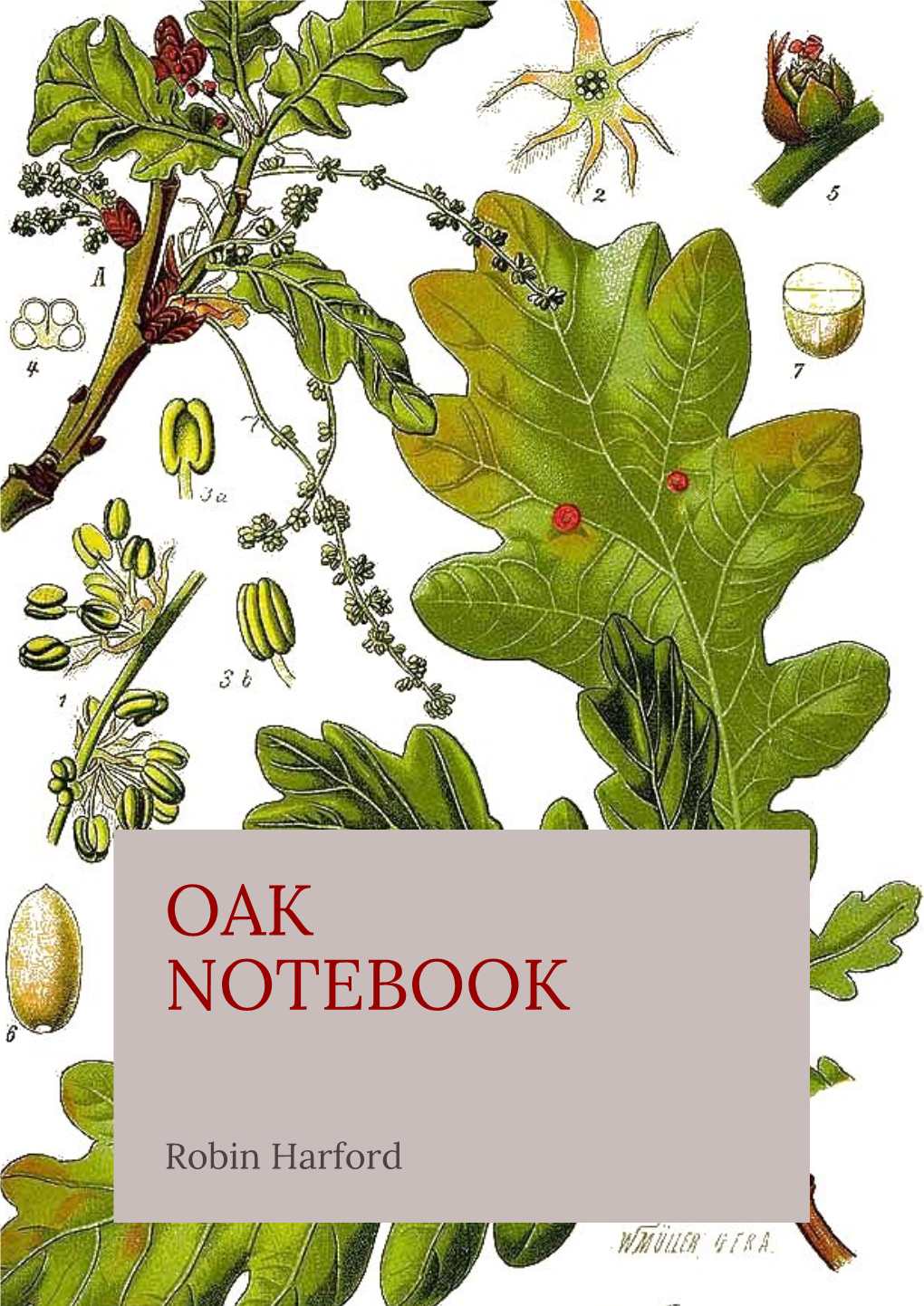 Oak Notebook