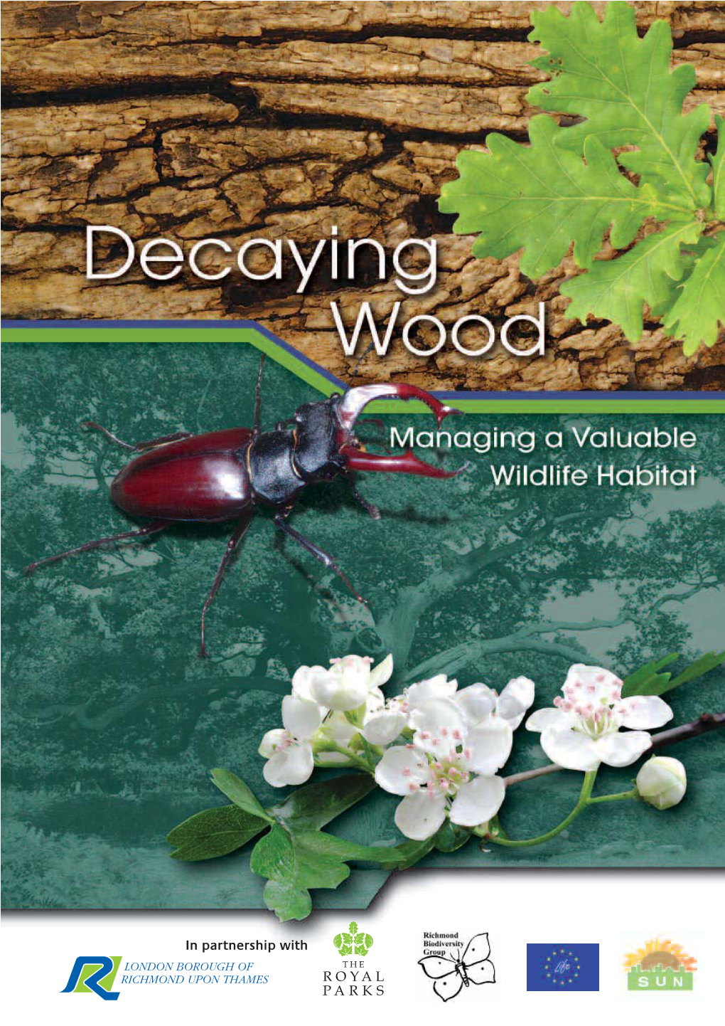 Decaying Wood: Managing a Valuable Wildlife Habitat