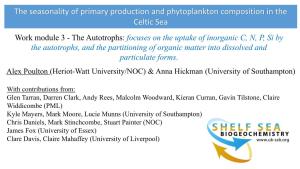 The Seasonality of Primary Production and Phytoplankton Composition In