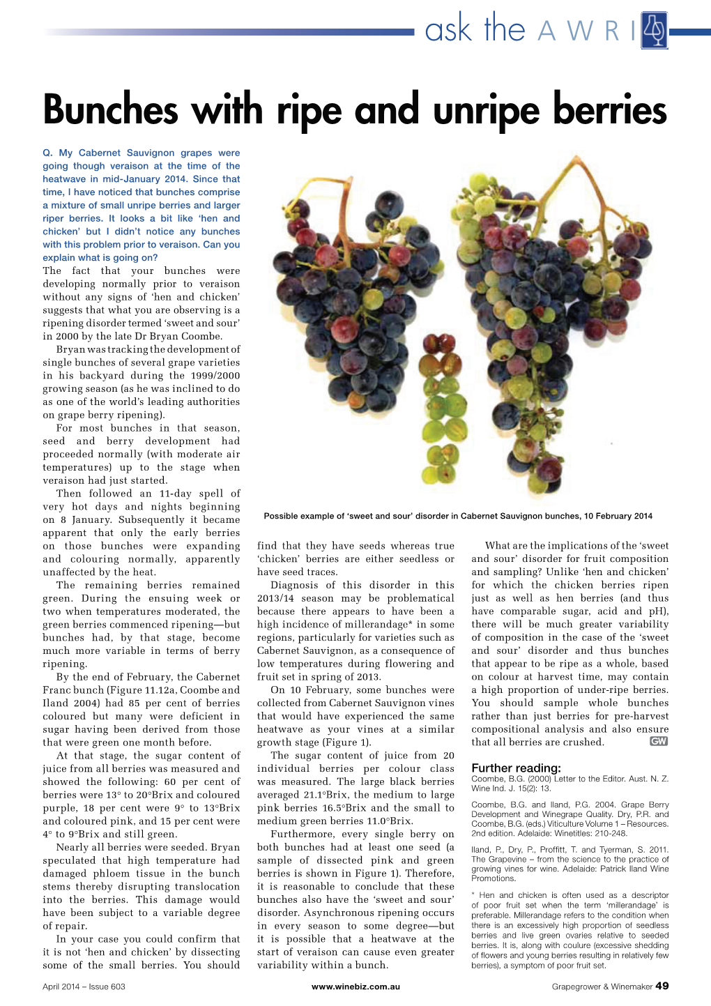 Bunches with Ripe and Unripe Berries (PDF)