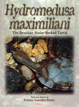 The Brazilian Snake-Necked Turtle